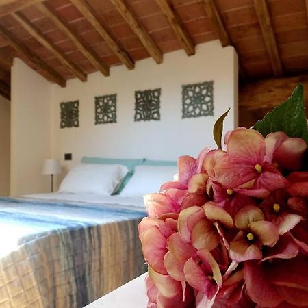 Casa Tecla Alle Mura Della Citta Sienne Extérieur photo